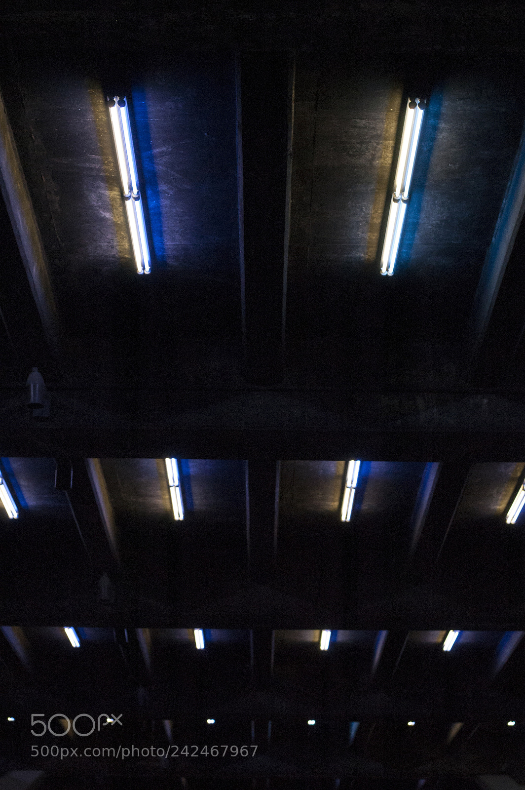 Nikon D40 sample photo. High line, nyc photography