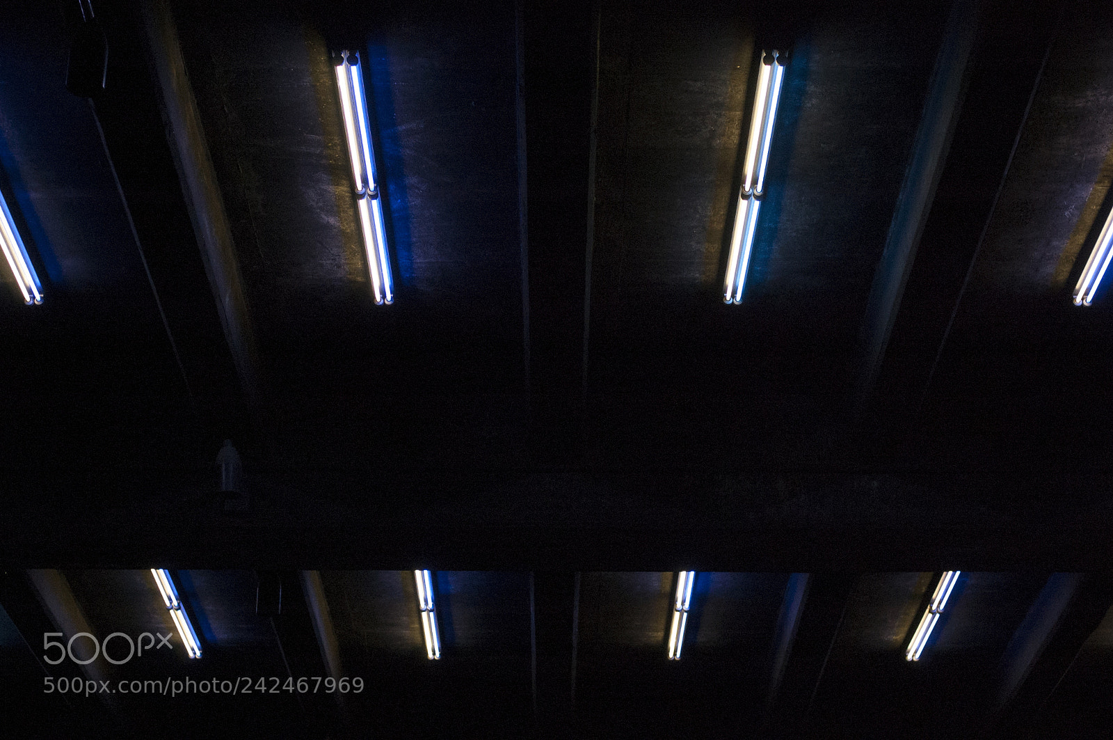 Nikon D40 sample photo. High line, nyc photography