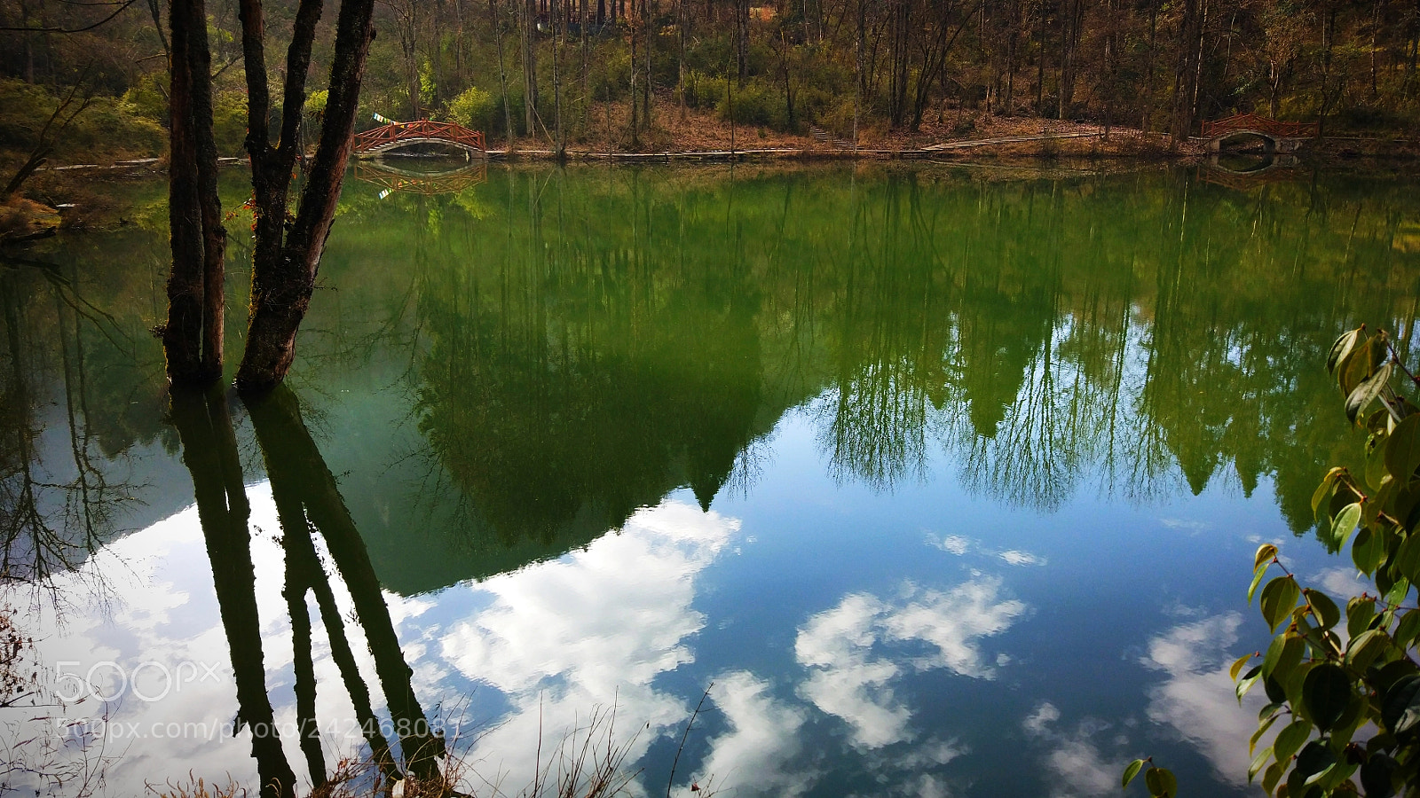 Xiaomi MI 5 sample photo. Untitled photography