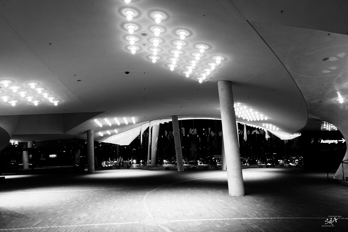Sony DT 18-135mm F3.5-5.6 SAM sample photo. Foyer of the elbphilharmonie photography