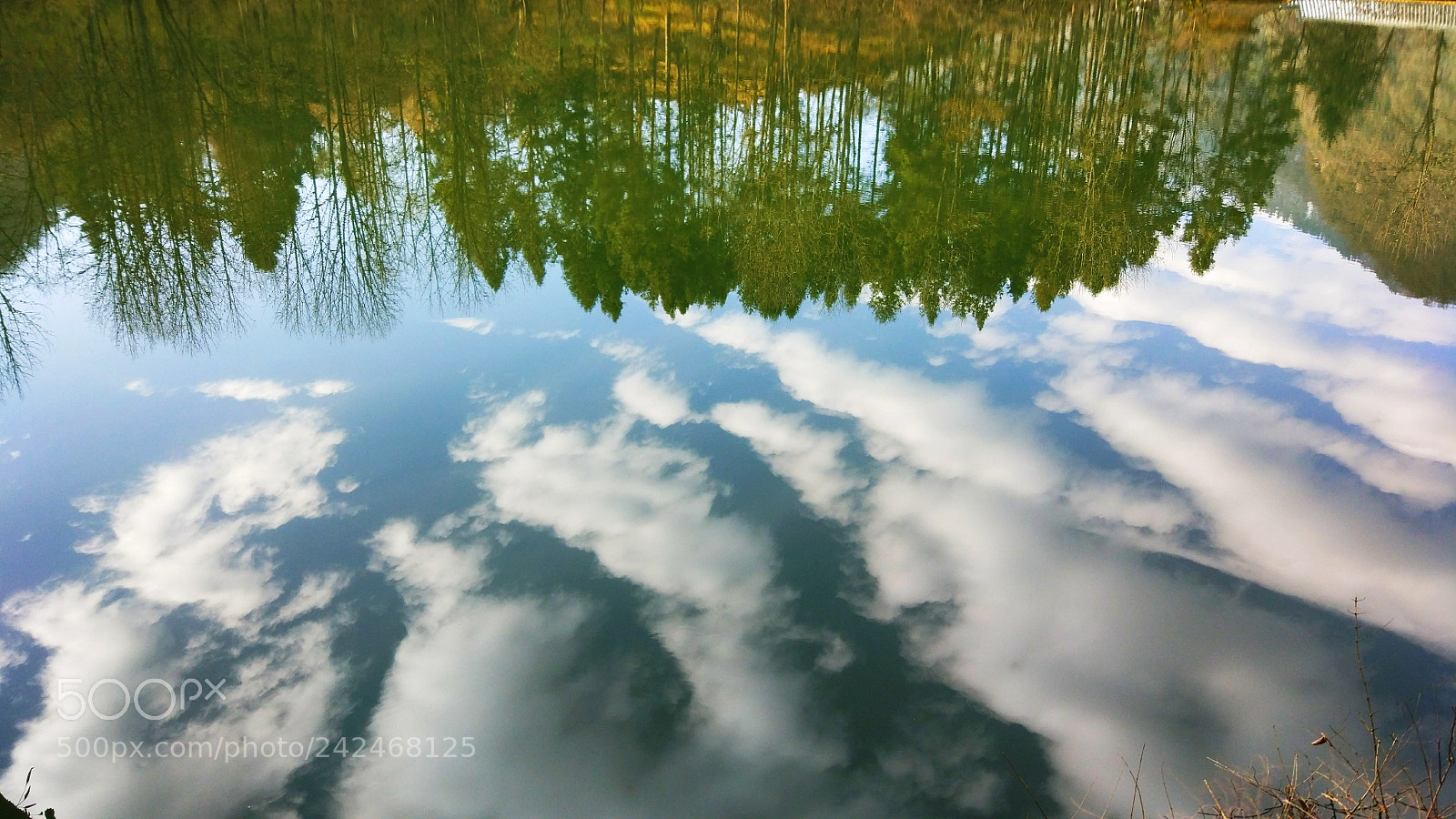 Xiaomi MI 5 sample photo. Untitled photography
