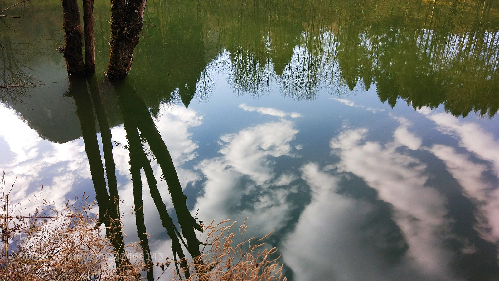 Xiaomi MI 5 sample photo. Untitled photography