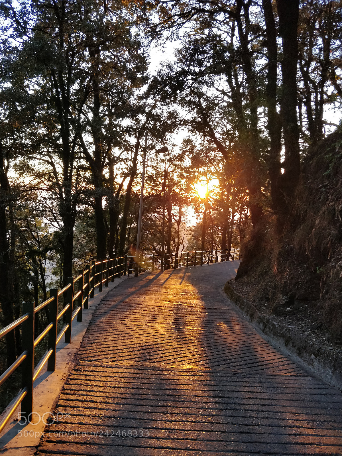 OnePlus 5T sample photo. Untitled photography