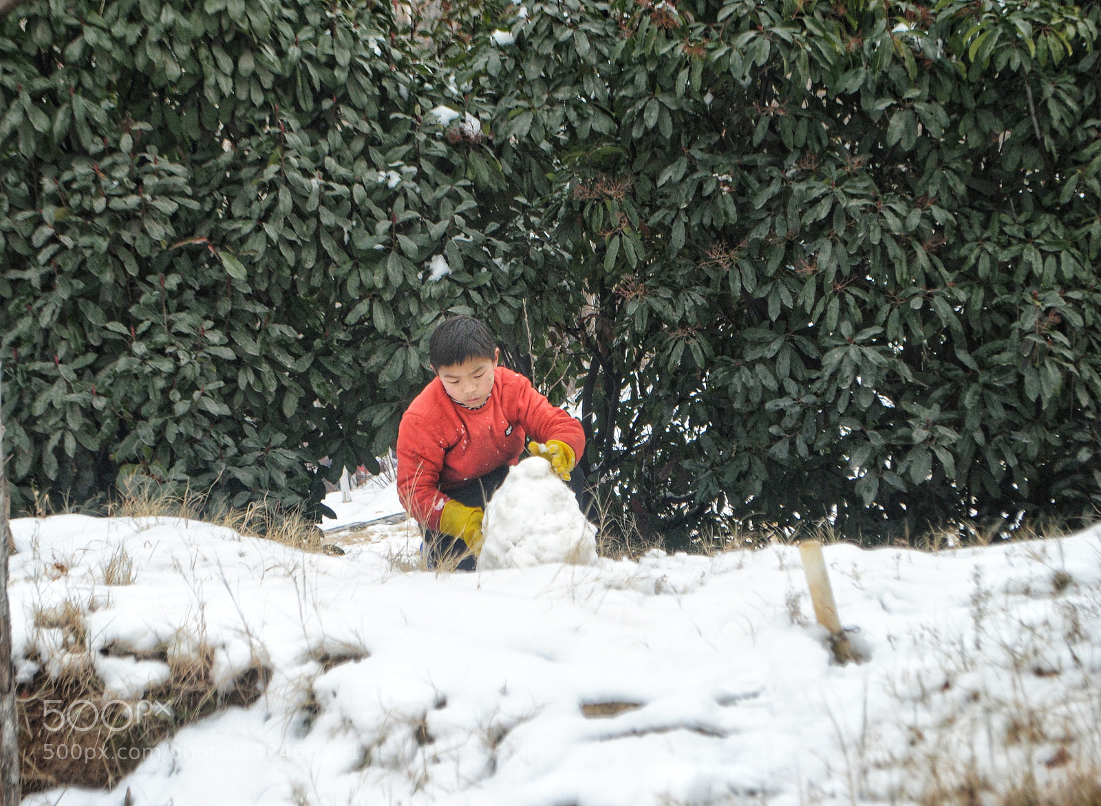 Nikon D3000 sample photo. Untitled photography