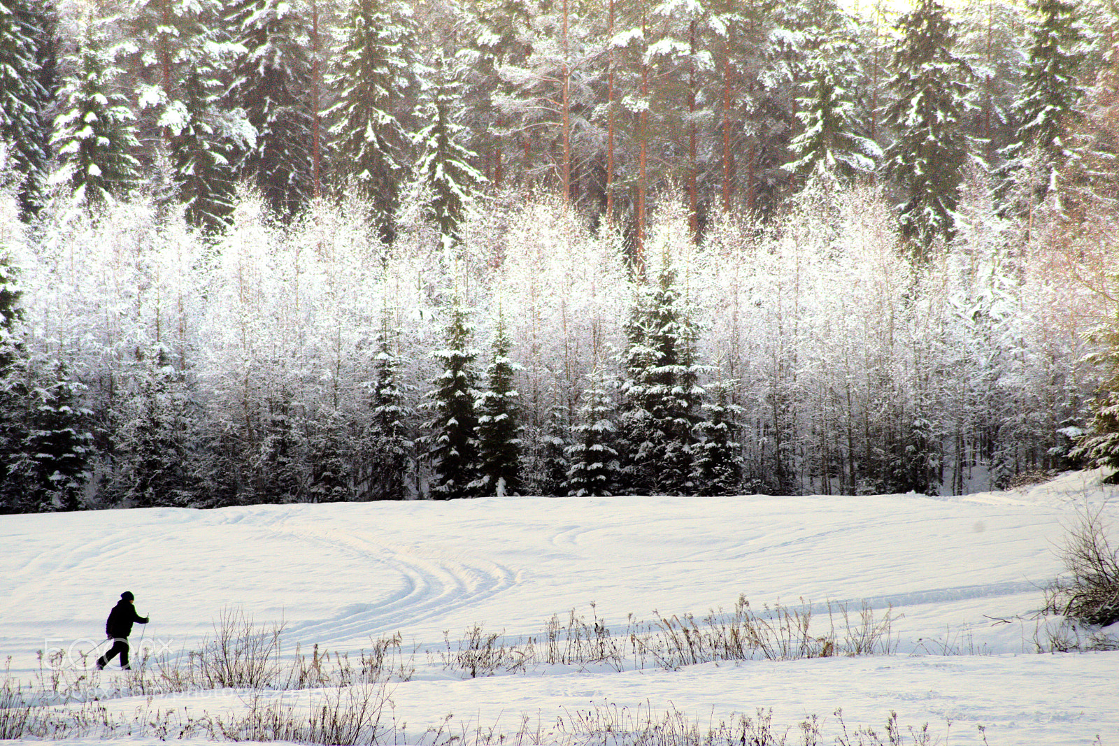Pentax K-1 sample photo. Cross-country skier photography