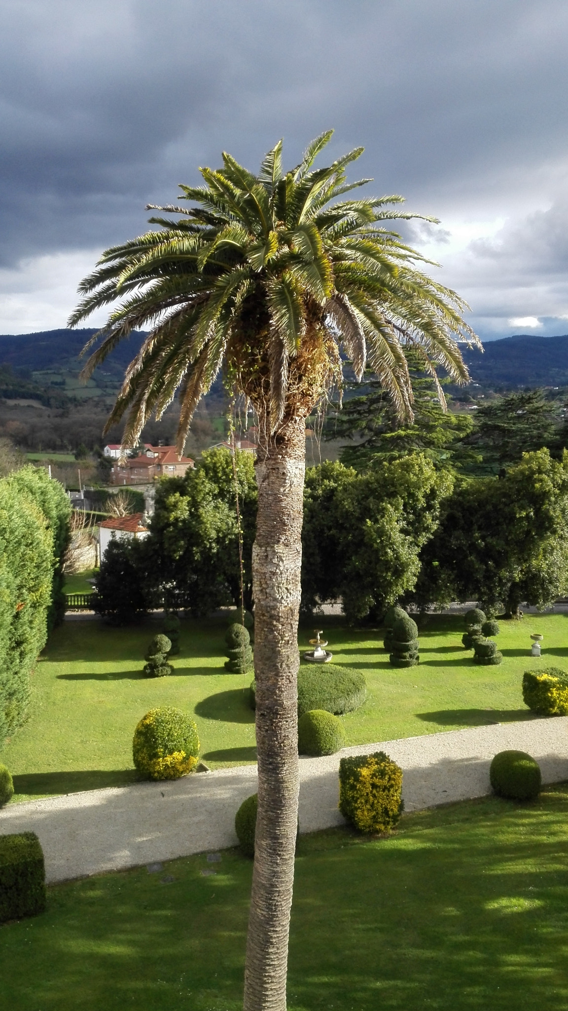 HUAWEI P7-L10 sample photo
