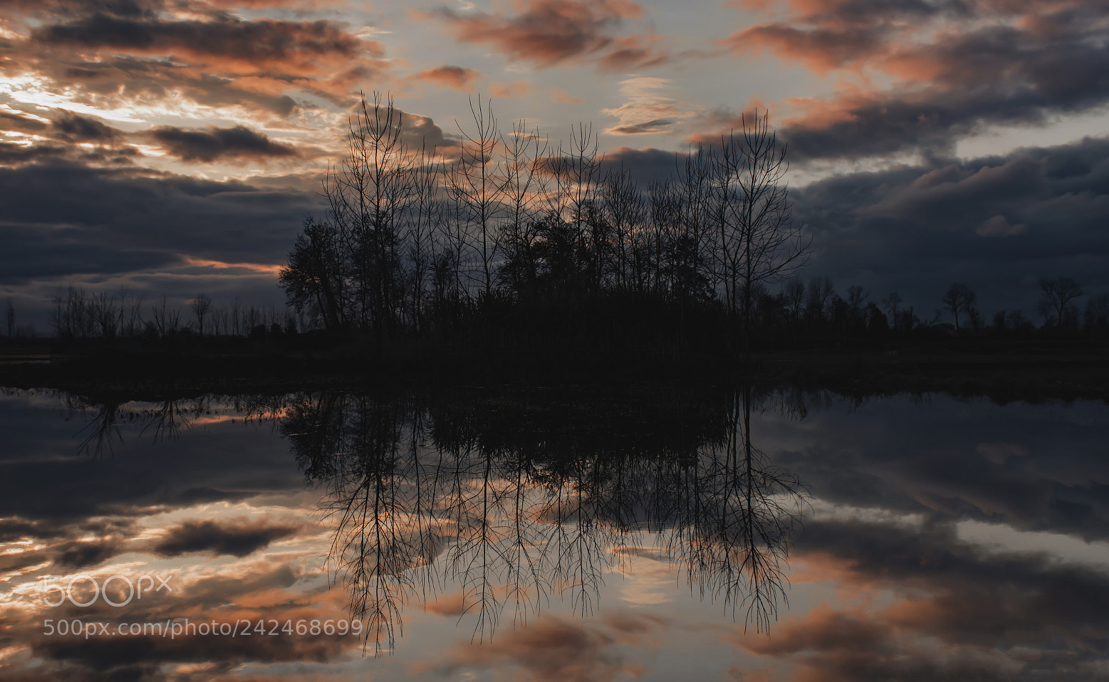 Nikon D7200 sample photo. Reflection ii photography