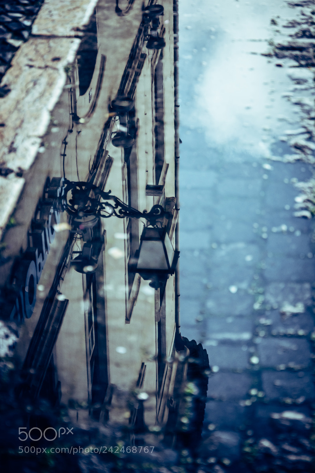 Nikon D7500 sample photo. Reflections photography