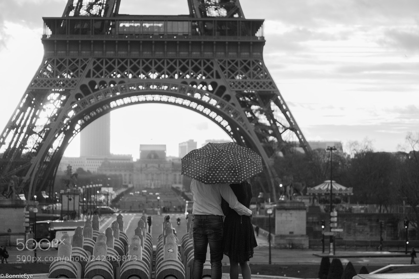 Nikon D3100 sample photo. True love ! photography
