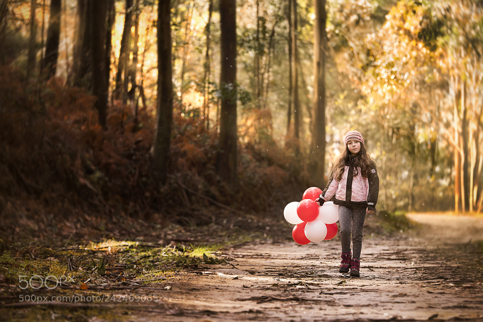 Nikon D500 sample photo. Paseo por el bosque photography