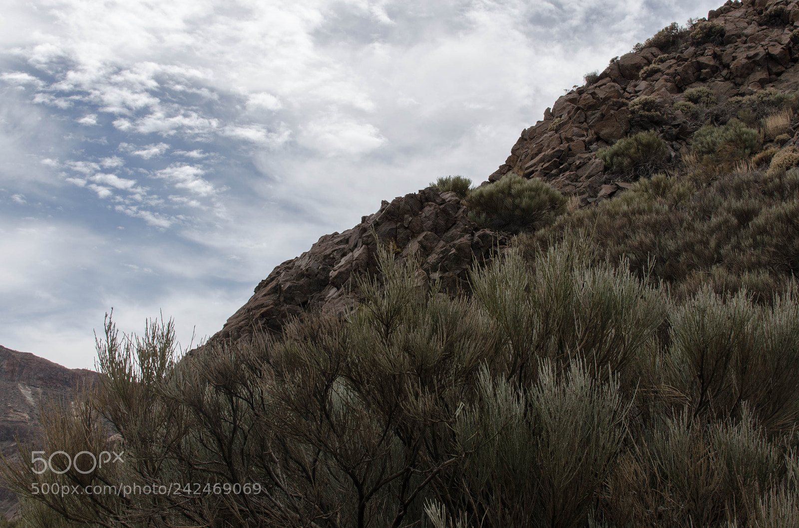 Nikon D5100 sample photo. Rocky hill photography