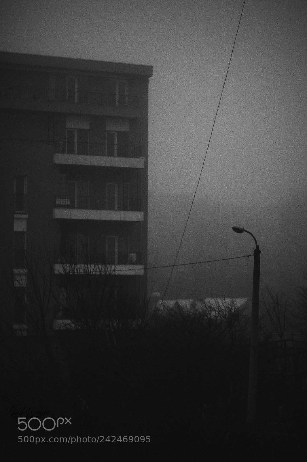 Canon EOS 7D Mark II sample photo. Black and white photography