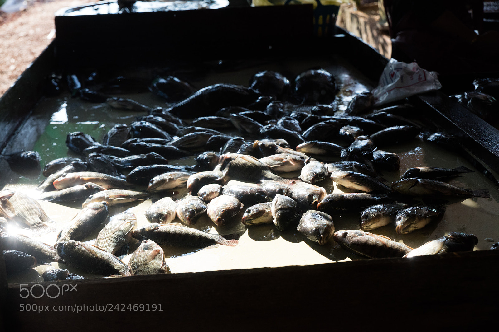 Canon EOS 5DS R sample photo. Da makai market photography
