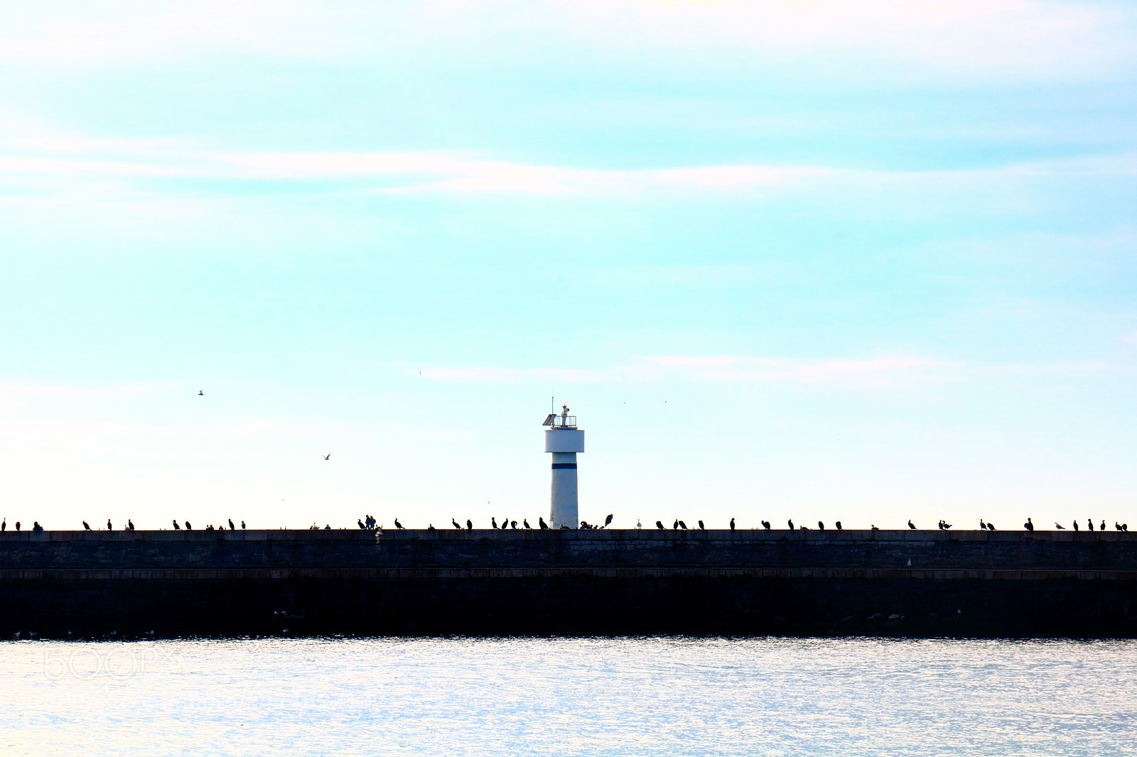 Canon EOS 760D (EOS Rebel T6s / EOS 8000D) sample photo. Community photography