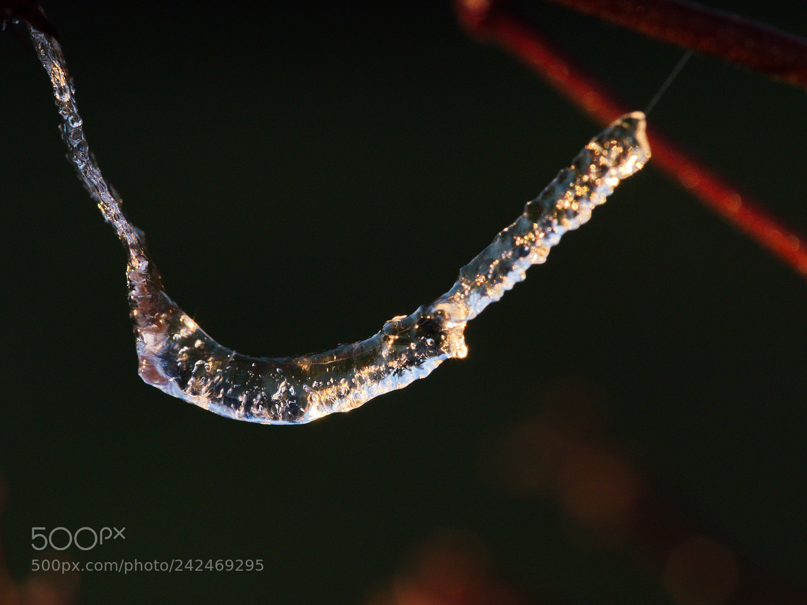Panasonic Lumix DMC-GX8 sample photo. Necklace ice photography