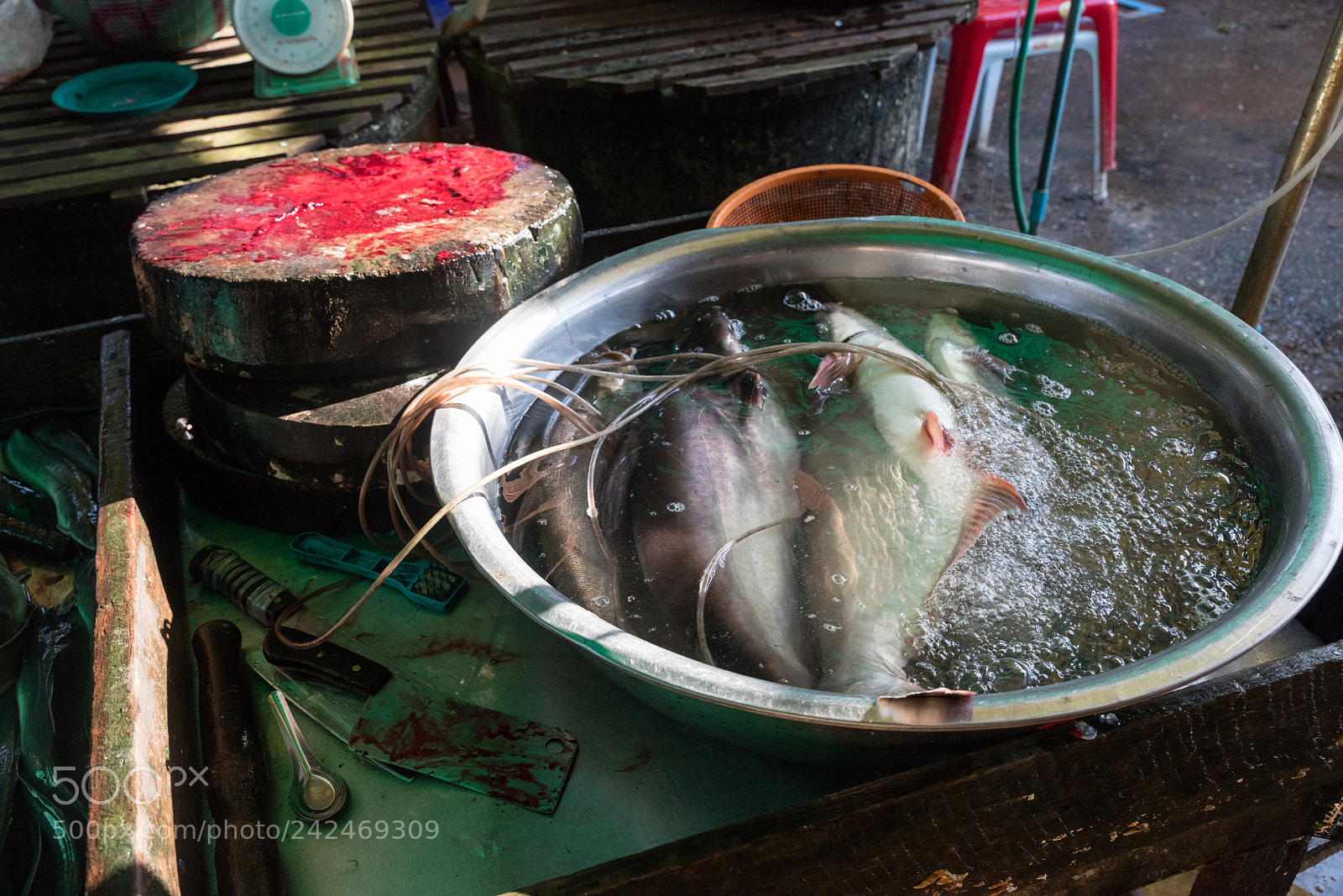 Canon EOS 5DS R sample photo. Da makai market photography