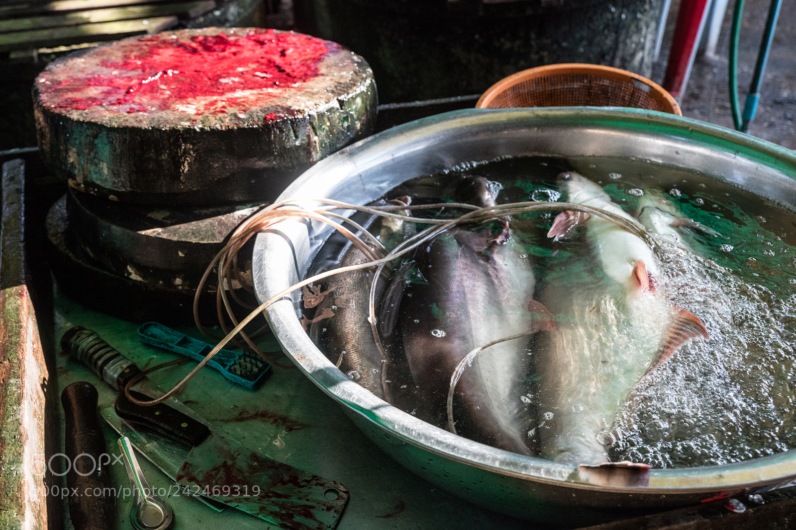 Canon EOS 5DS R sample photo. Da makai market photography