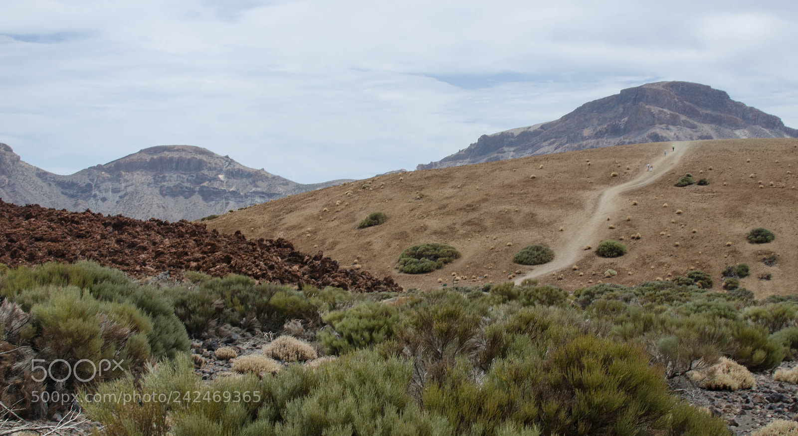 Nikon D5100 sample photo. Colorful ground photography
