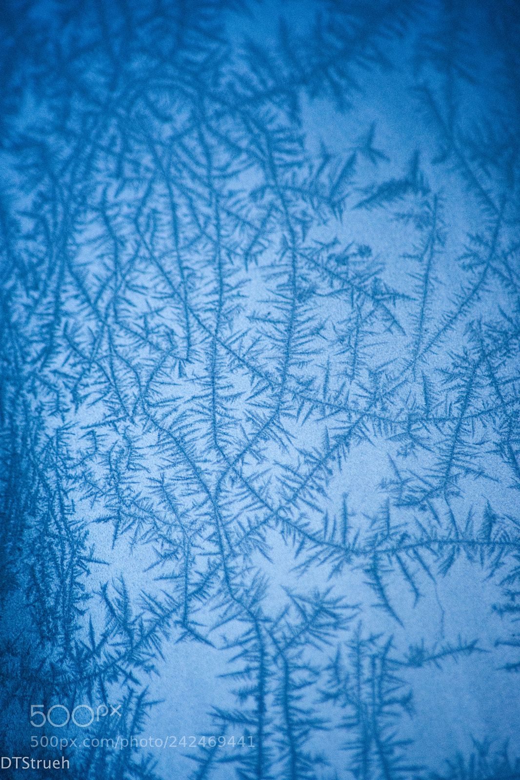 Nikon D7200 sample photo. A cold winters morning photography
