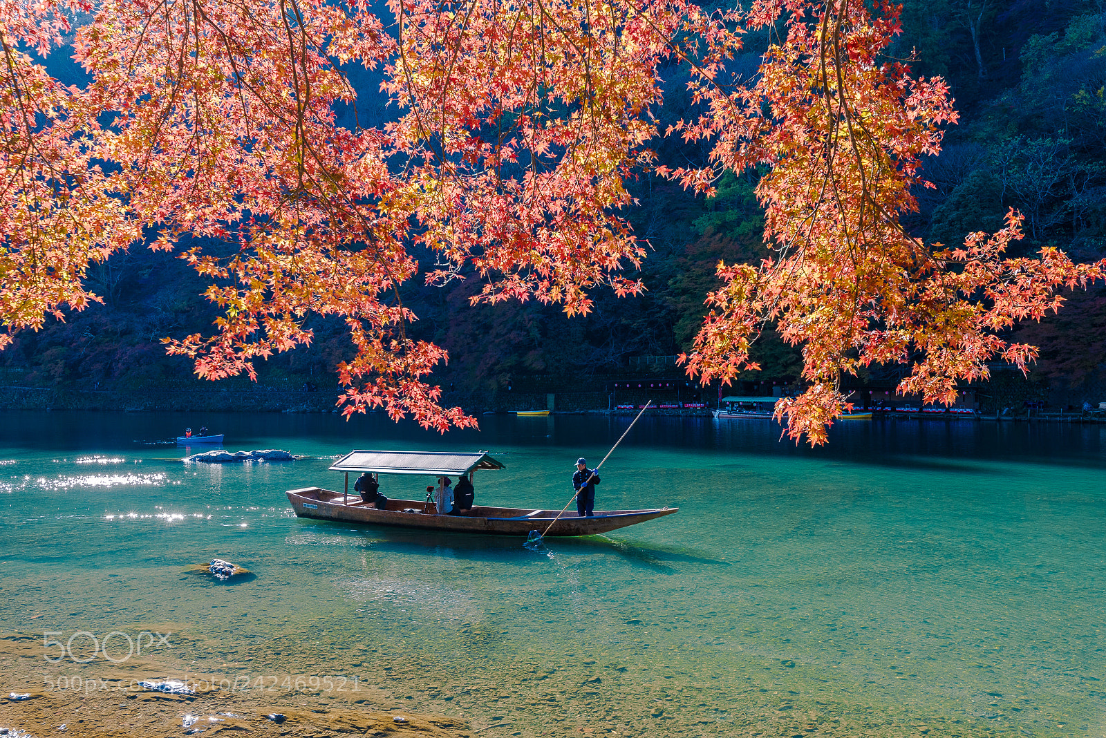Nikon D750 sample photo. Serene boat ride, arashiyama photography