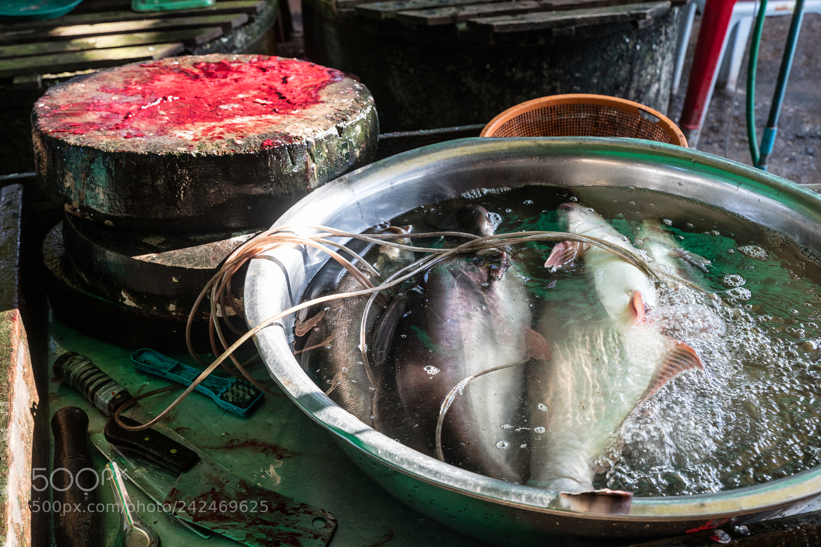 Canon EOS 5DS R sample photo. Da makai market photography