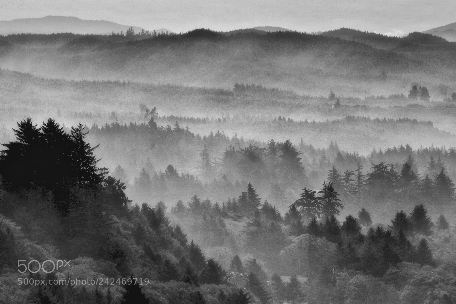 Pentax K-5 sample photo. An oregon moment photography