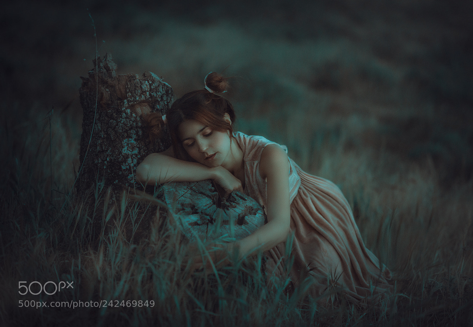 Nikon D800 sample photo. Untitled photography
