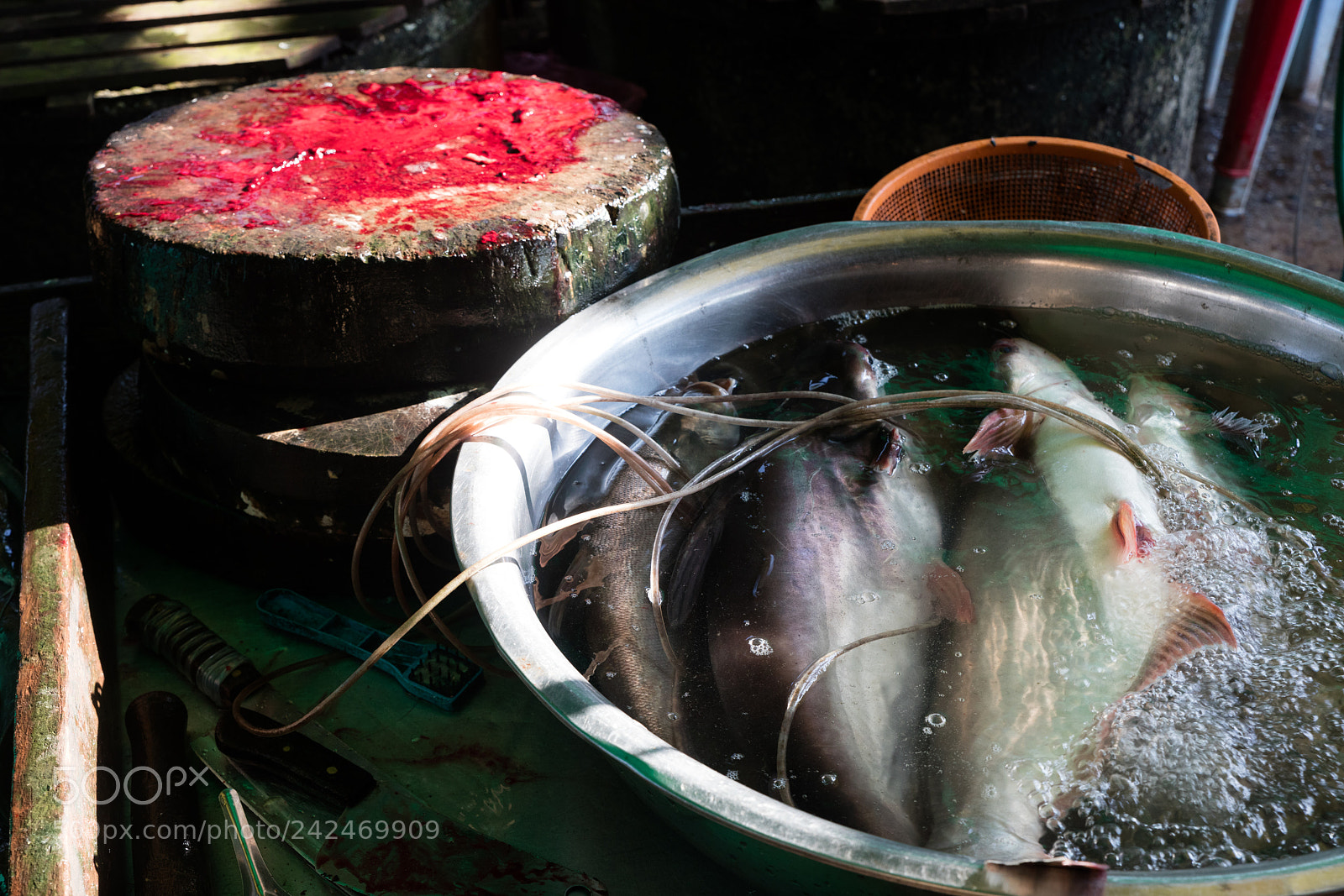Canon EOS 5DS R sample photo. Da makai market photography