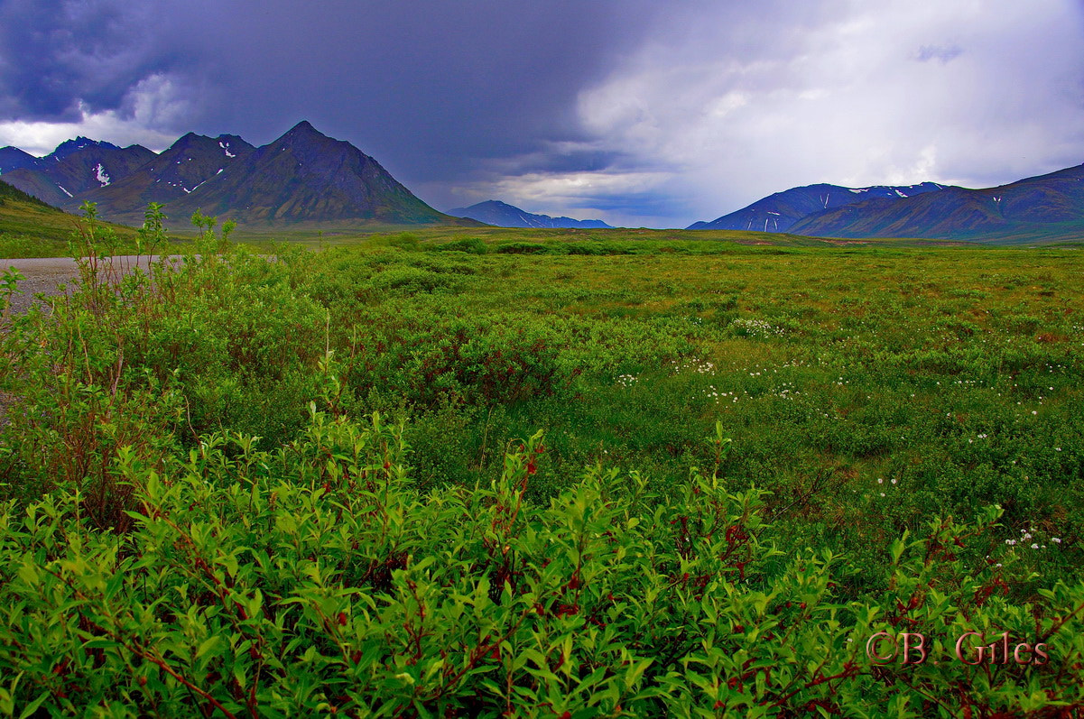 Pentax K-x sample photo. Storm over the tombstones photography