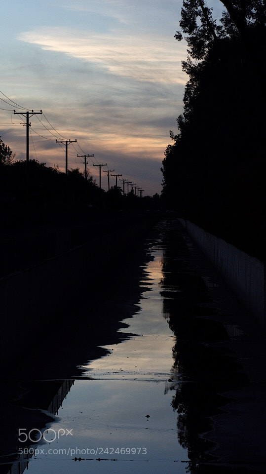 Nikon D7200 sample photo. Untitled photography