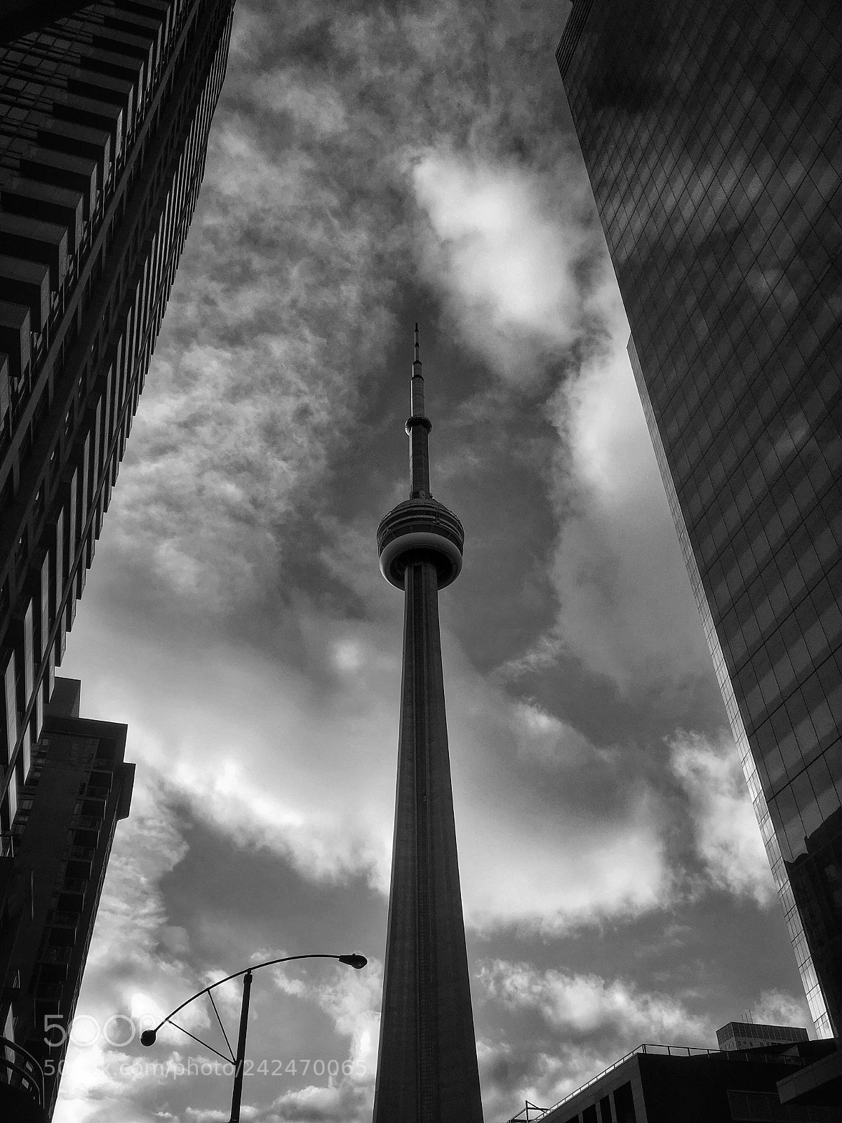 Apple iPhone SE sample photo. Toronto photography
