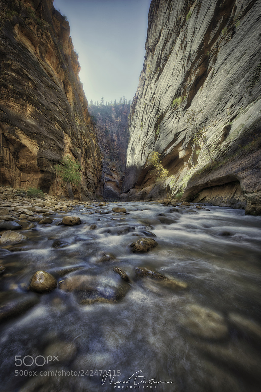 Nikon D810 sample photo. The narrows, zion np photography