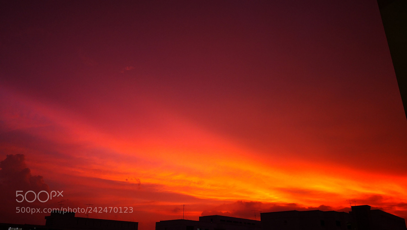 HUAWEI Mate 10 sample photo. Beautiful red sunset photography
