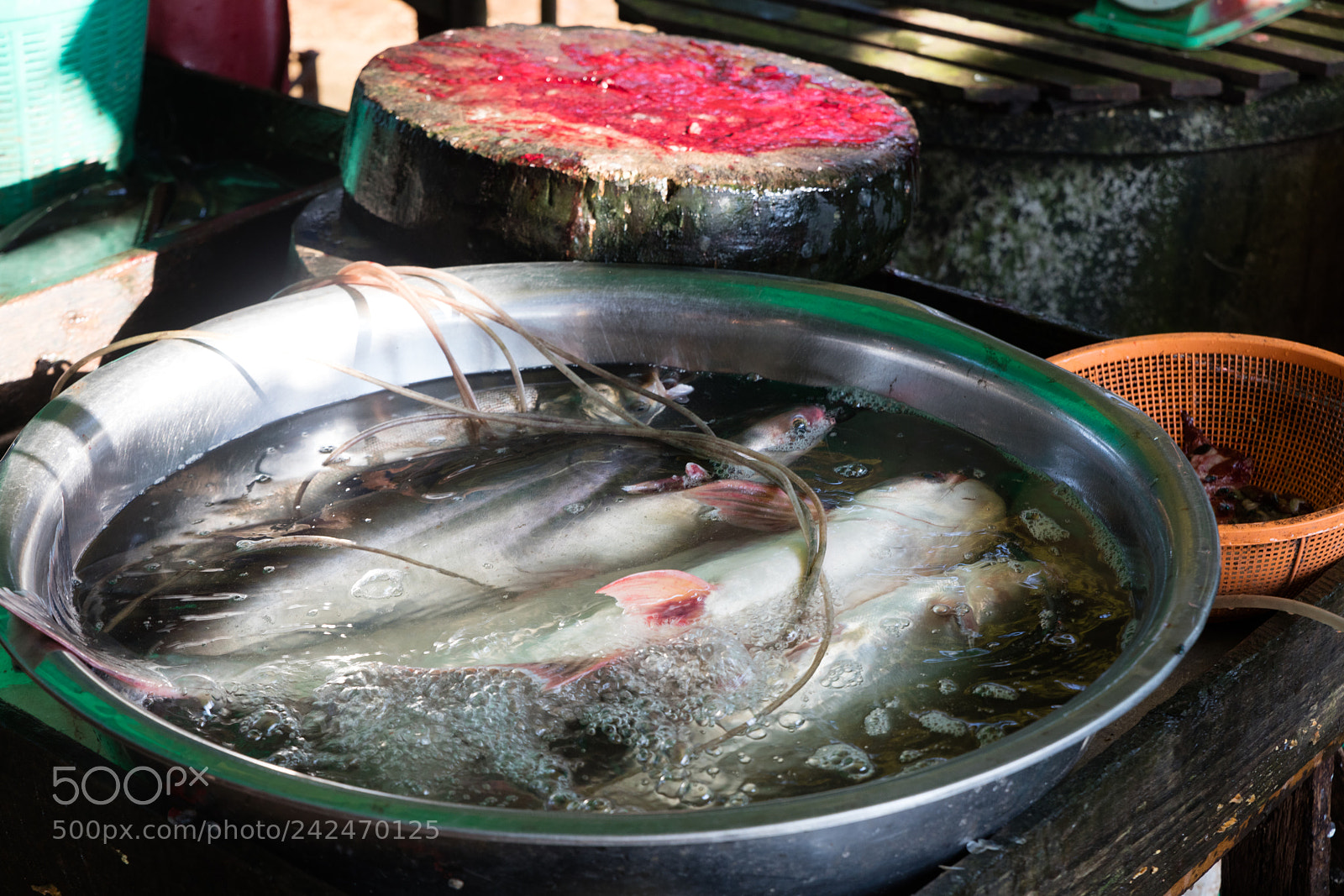 Canon EOS 5DS R sample photo. Da makai market photography