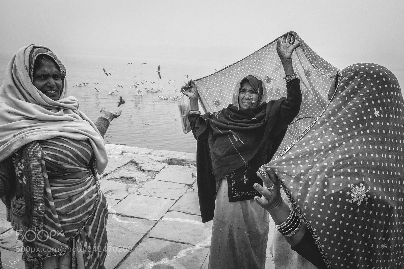 Fujifilm X-T2 sample photo. Bird, sari, mist | benaras photography
