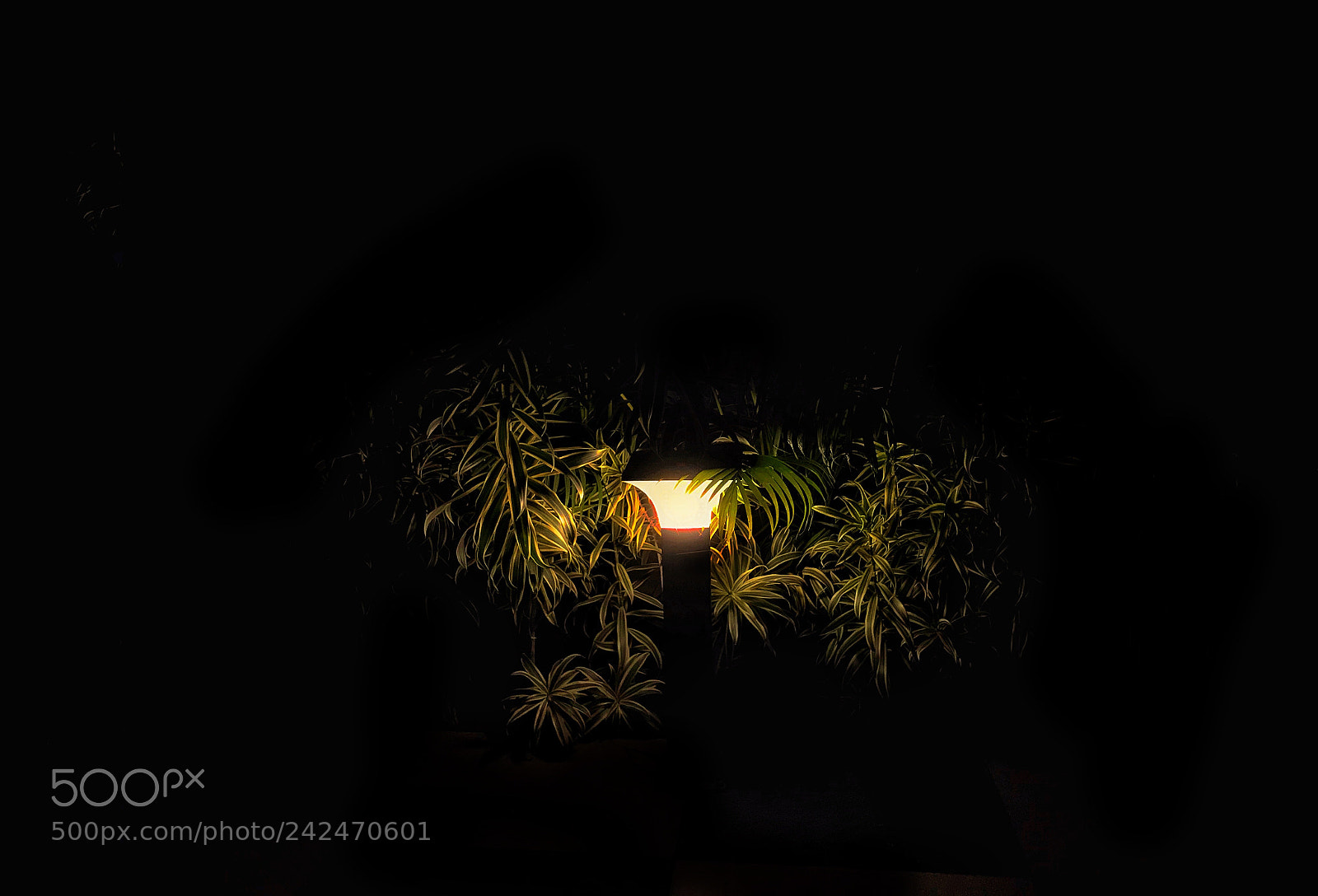 Apple iPhone 7 sample photo. Lamp in the darkness photography