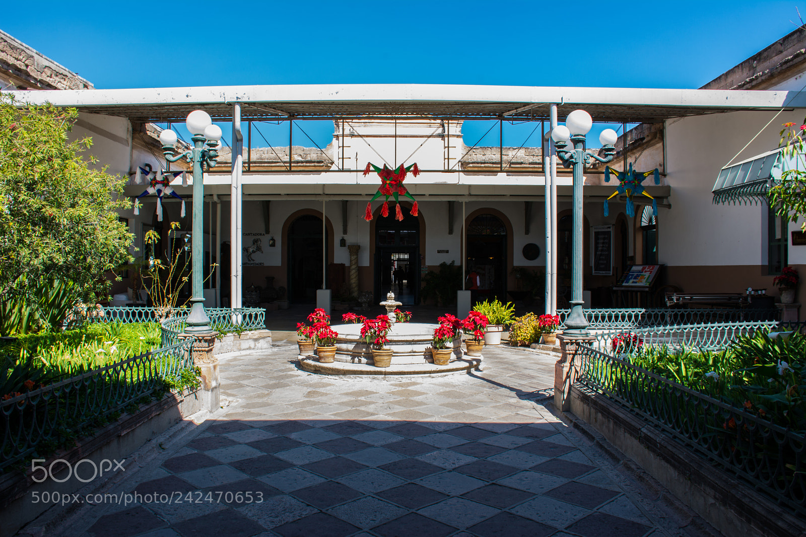 Nikon D7100 sample photo. La aurora art gallery photography