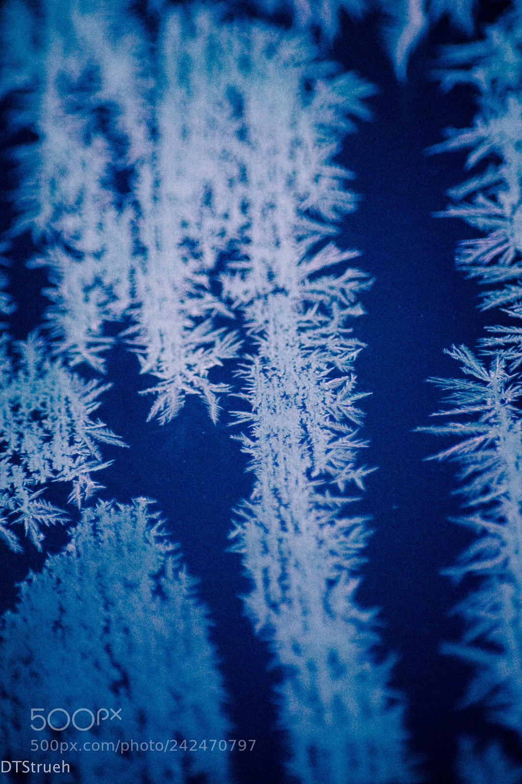 Nikon D7200 sample photo. A cold winters morning photography