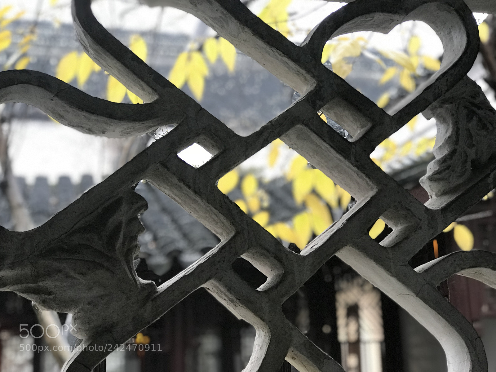 Apple iPhone 7 Plus sample photo. Untitled photography
