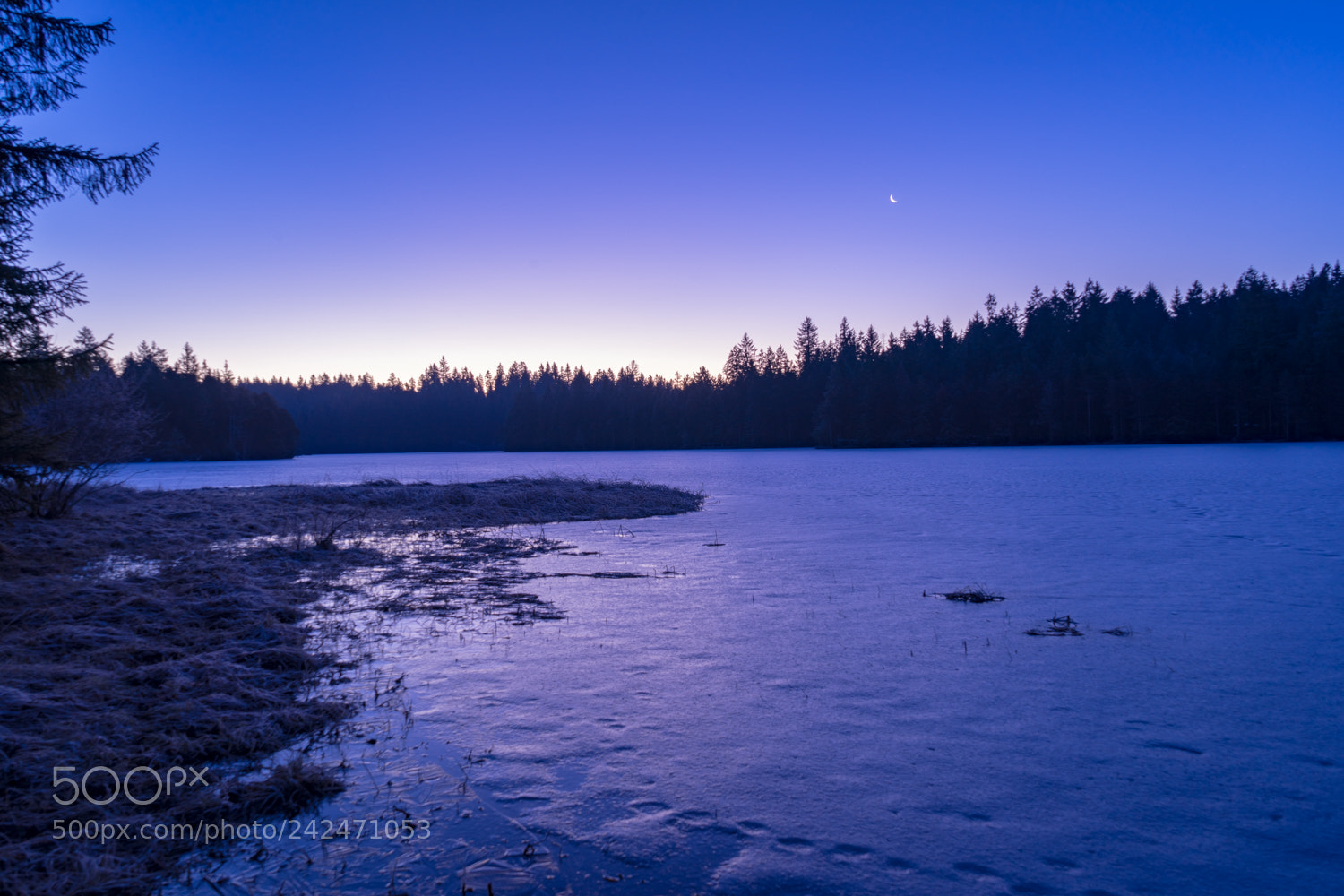 Sony a7 II sample photo. Moorsee jura i photography