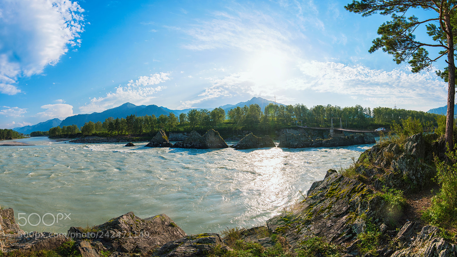 Nikon D810 sample photo. Fast mountain river katun photography