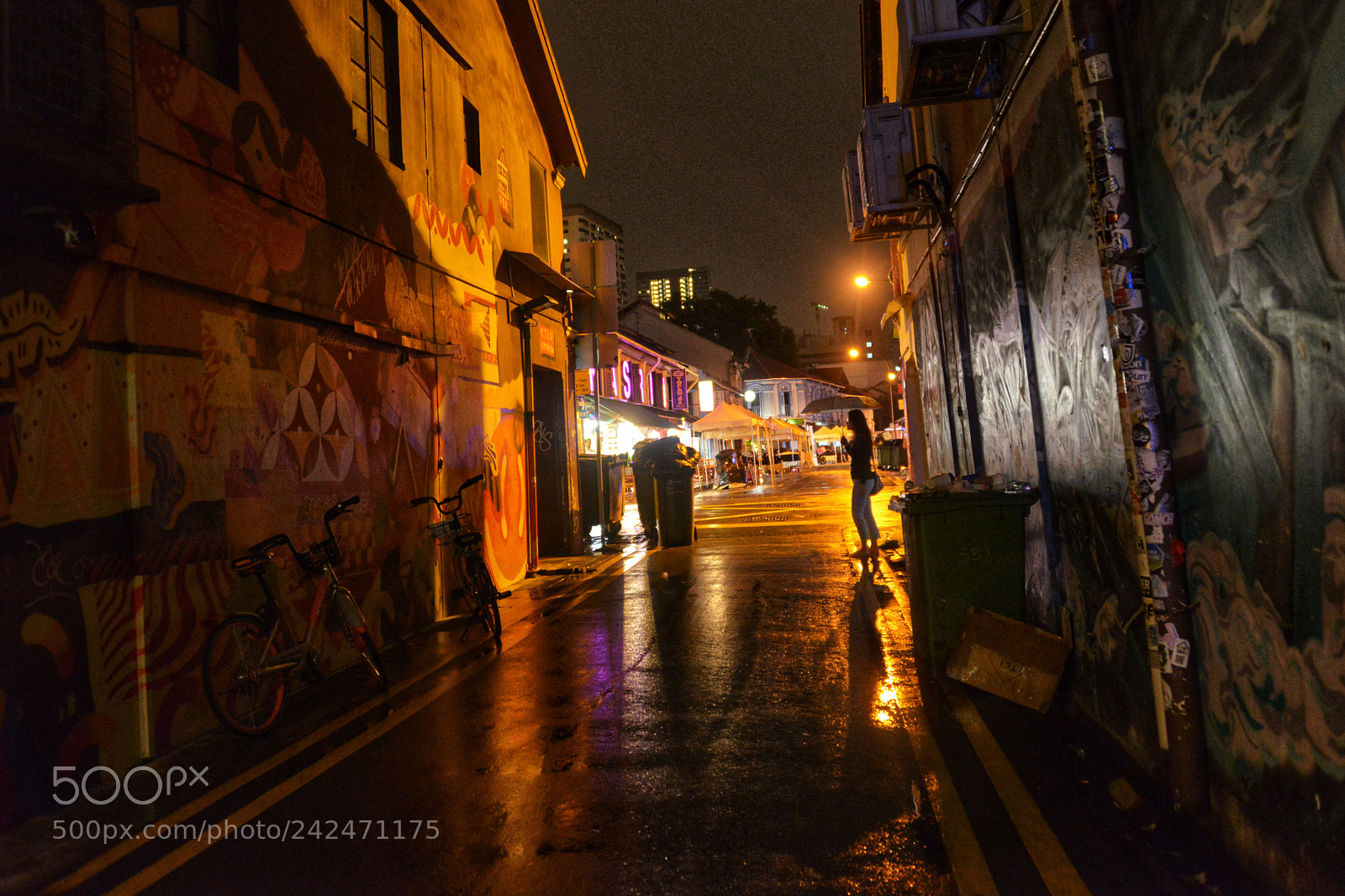 Nikon D800E sample photo. A cold wet night photography