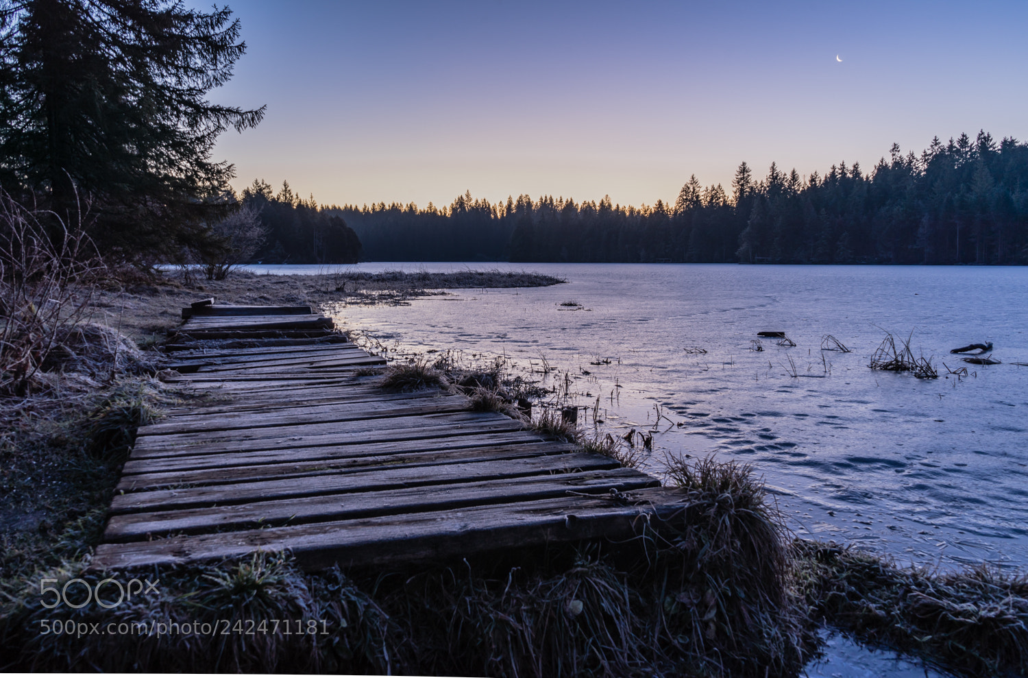 Sony a7 II sample photo. Moorsee jura ii photography