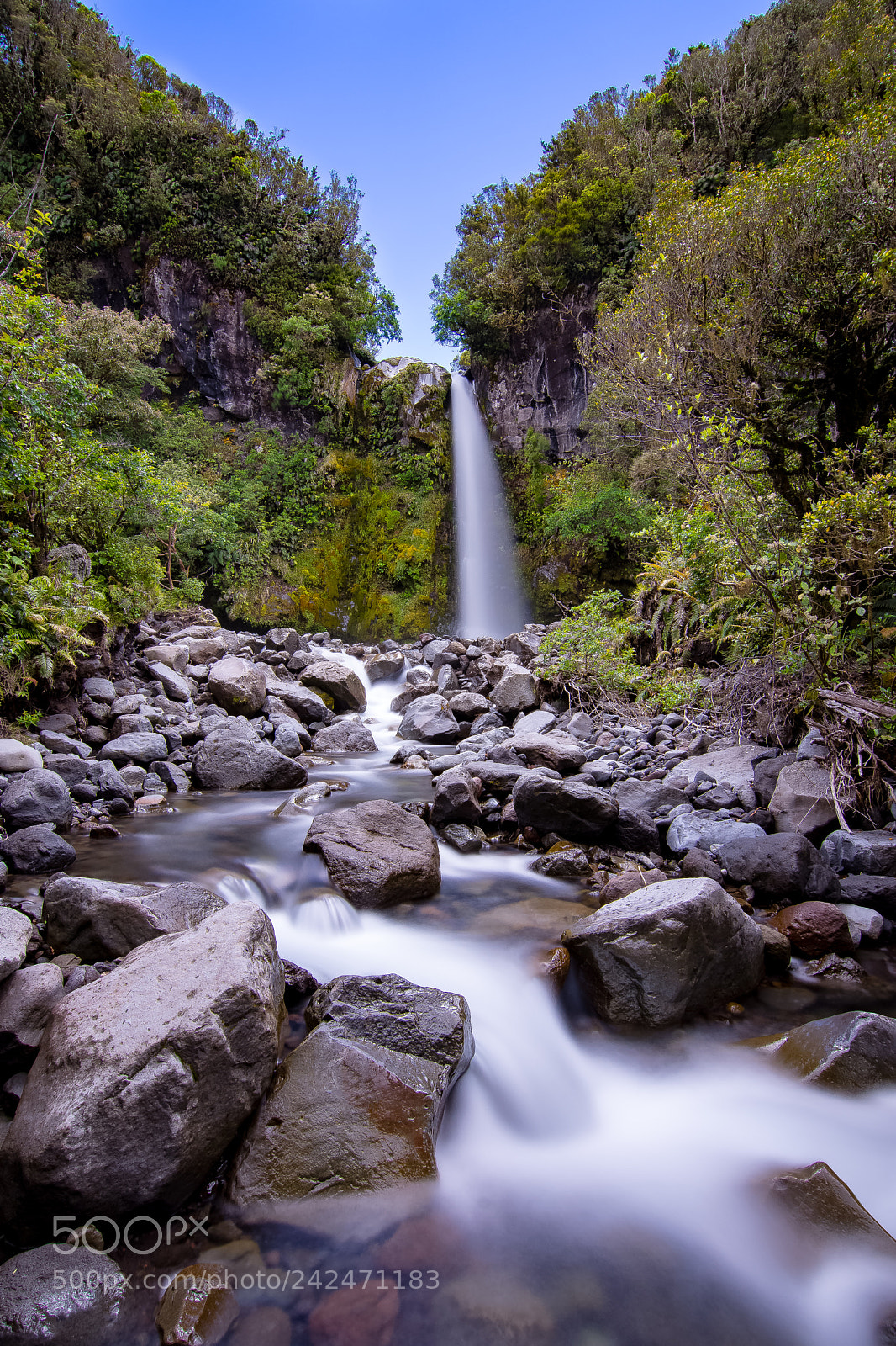 Nikon D7200 sample photo. Dawson falls photography