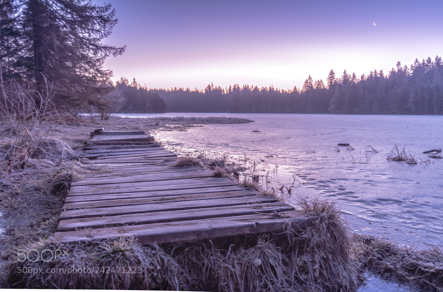 Sony a7 II sample photo. Moorsee jura iii photography