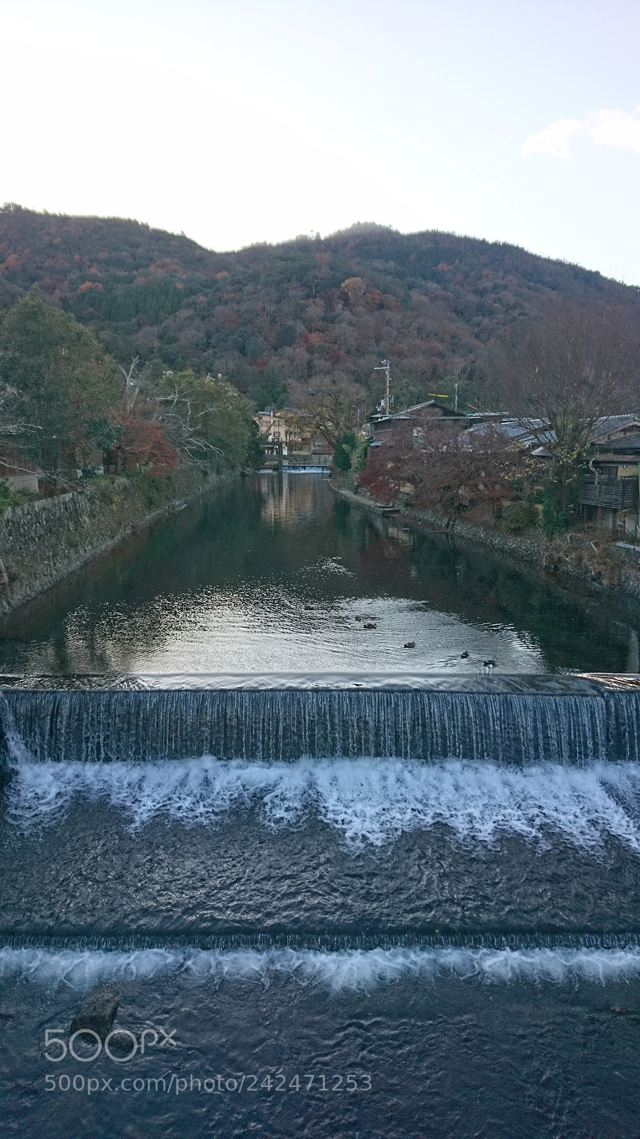 Sony Xperia X sample photo. Untitled photography
