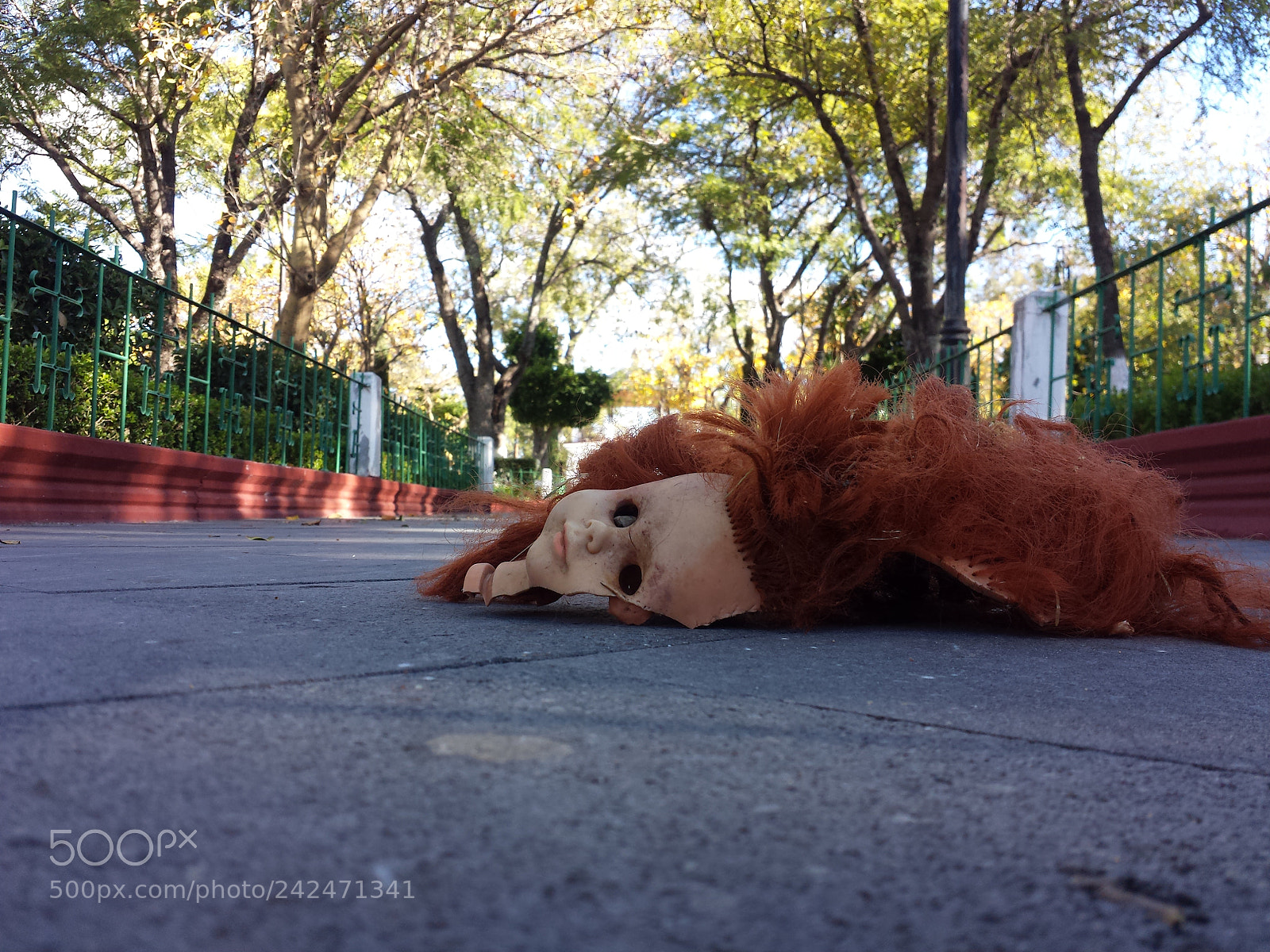 Samsung Galaxy S4 sample photo. Untitled photography