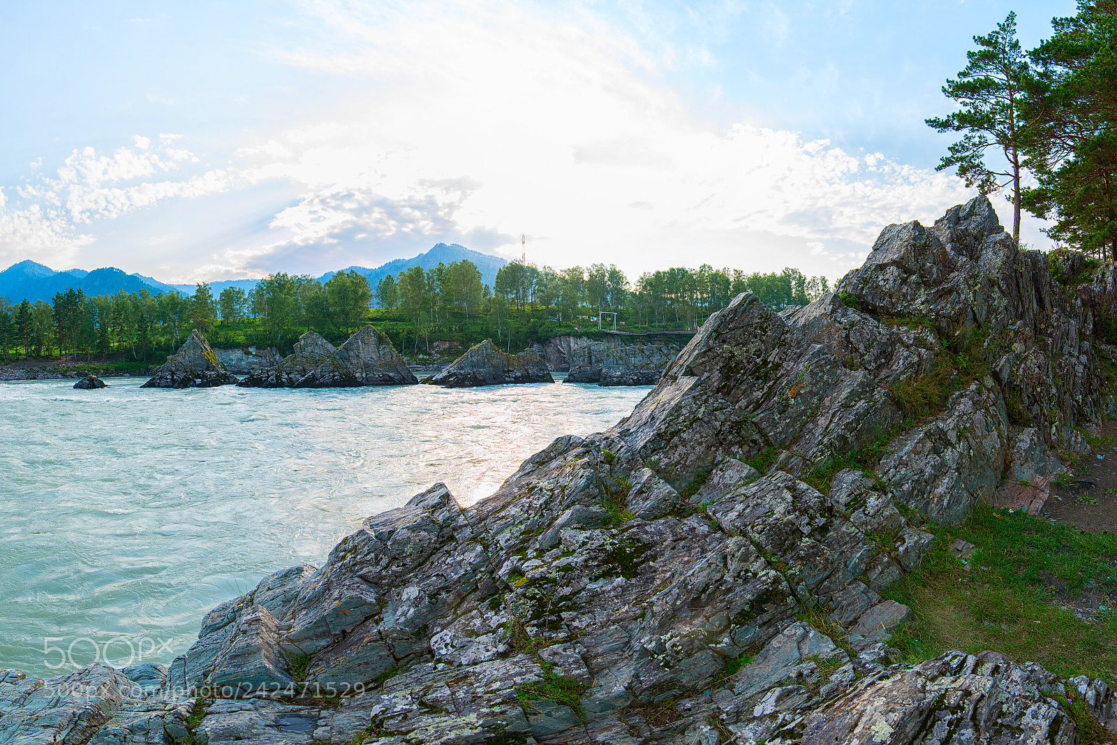 Nikon D810 sample photo. Fast mountain river katun photography