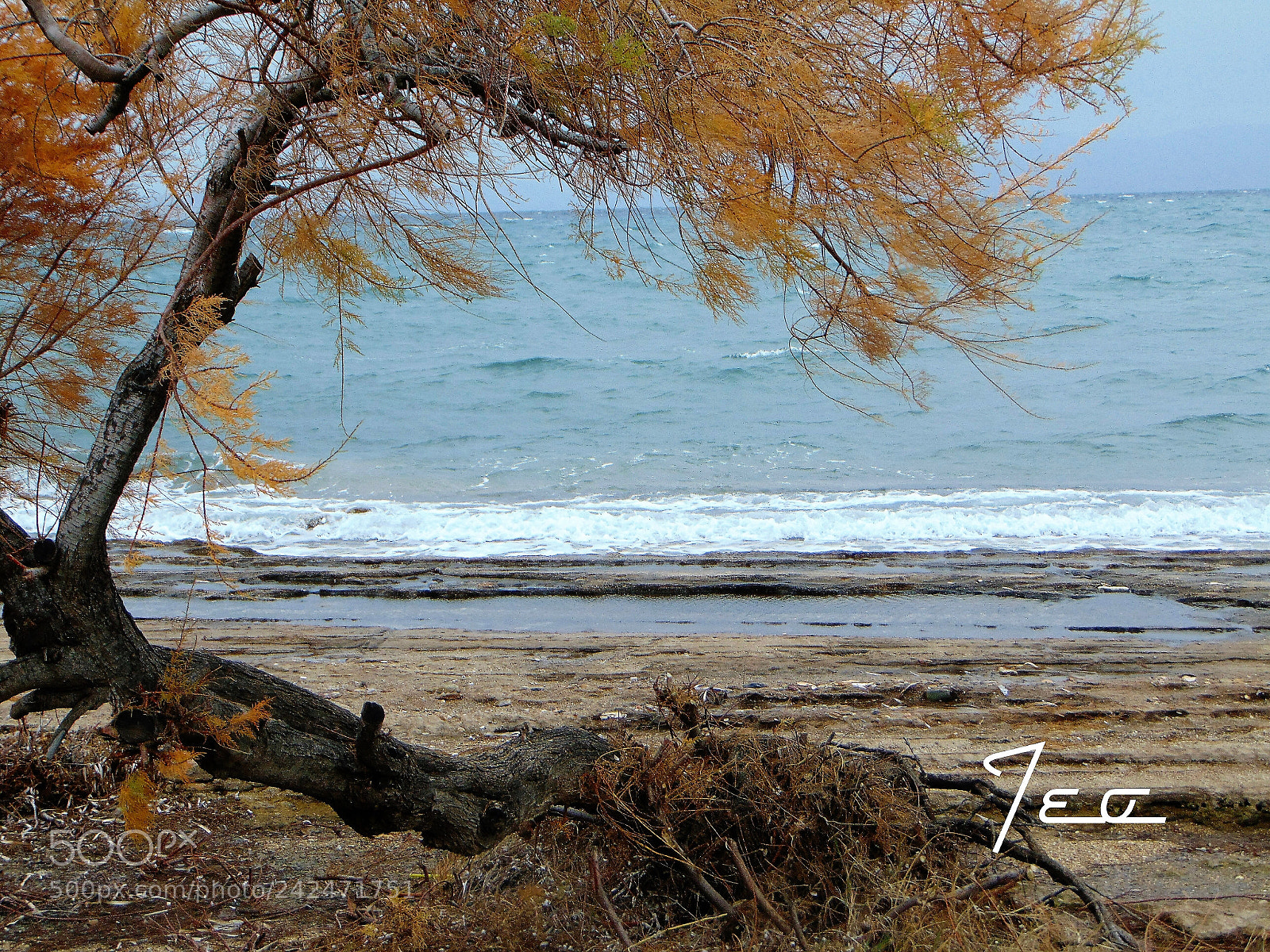 Sony Cyber-shot DSC-H300 sample photo. Winter vibes photography