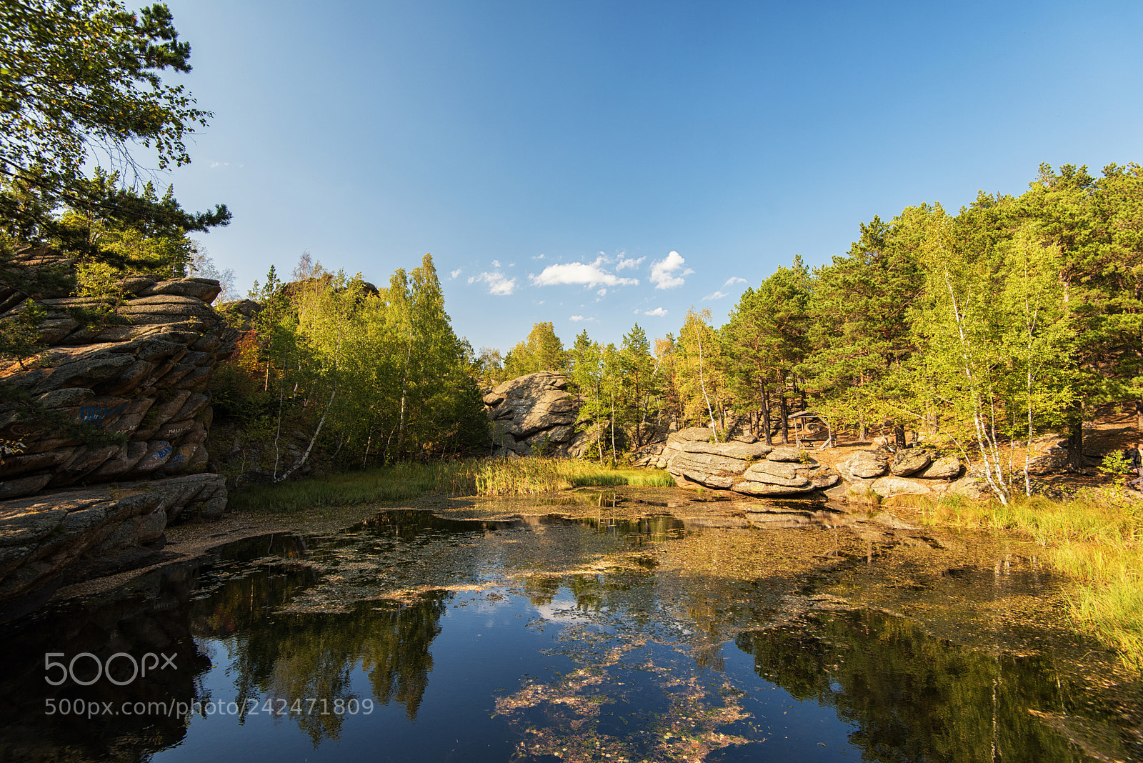 Nikon D810 sample photo. Beauty view on mohovoe photography